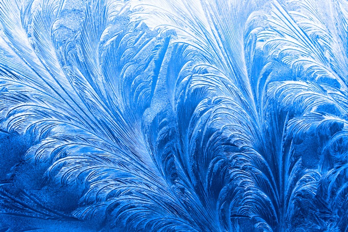Kunstwerke der Kälte: Eisblumen / So entstehen die filigranen Muster auf den Fenterscheiben