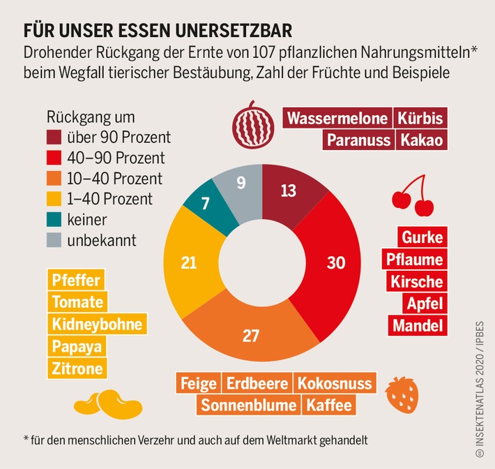 BUND und Heinrich-Böll-Stiftung: Insektenatlas – Daten und Fakten über Nütz- und Schädlinge in der Landwirtschaft