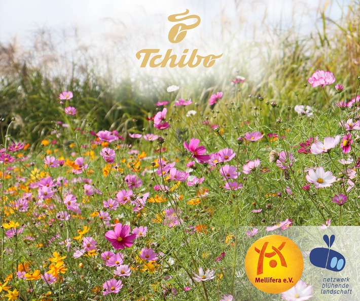 Dufte Idee zum Frühling: Blühpatenschaften bei Tchibo