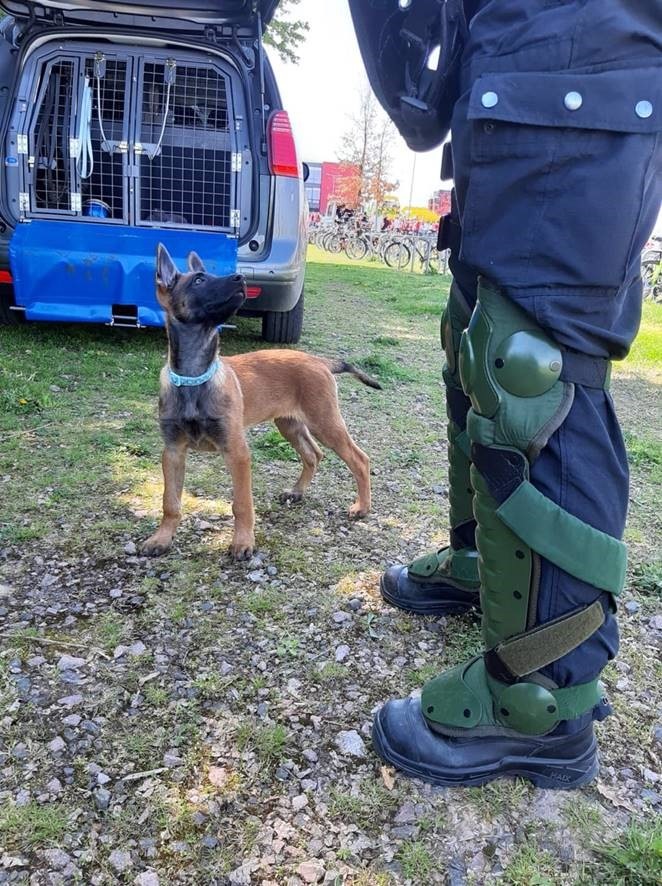 Polizeialltag - Zwischen Seelsorge und Cyber-Cop