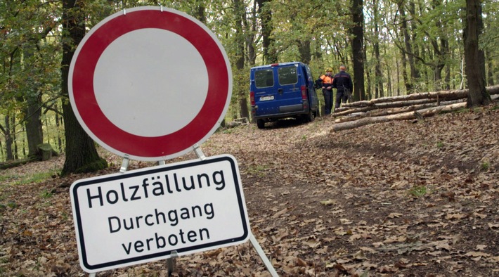 Wald und Elbe: MDR-Reihe „Wem gehört der Osten?“ mit neuen Folgen zu Ostern und Pfingsten