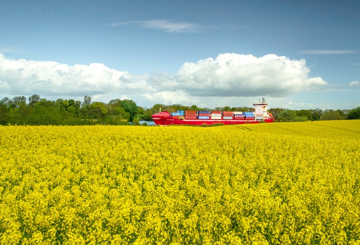 Rapsblüte 2020: Landwirtschaft schafft Kulturlandschaft