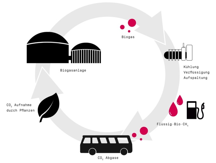 Kommunaler Nahverkehr auf dem Weg zur CO2-Neutralität,