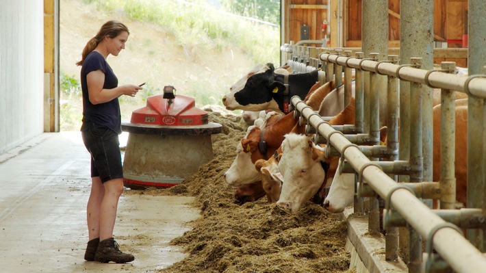 „Der digitale Bauernhof – Smartphone statt Heugabel“: ORF/3sat-Doku über moderne Landwirtschaft