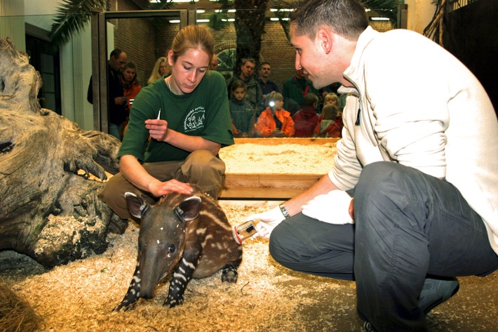 Mehr als 1.000 Studien in Zoos / Verband stellt erstmals Überblick zu Forschungsleistungen vor