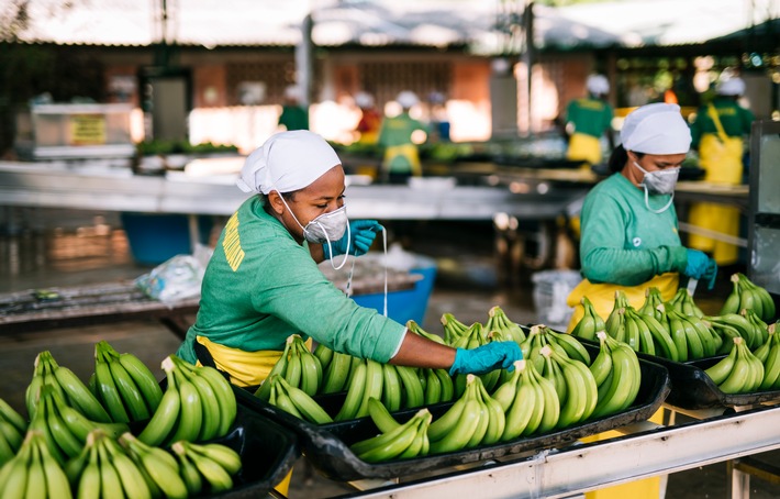 Solidarität durchbricht Grenzen: Verbraucher geben 2 Milliarden für Fairtrade-Produkte aus / Fairtrade verkündet neue Rekordabsätze und fordert Lieferkettengesetz