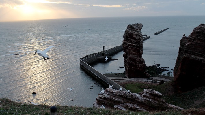 „ZDF.reportage“ Ã¼ber Helgoland in der Coronakrise