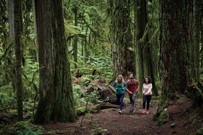 Columbia Hiking Sneaker SH/FT verschiebt Grenzen zwischen Stadt und Natur