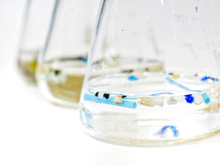 Wie wirkt sich Mikroplastik auf Lebewesen aus? / Abschluss des EU-Forschungsprojekts "MikroPlastiCarrier"