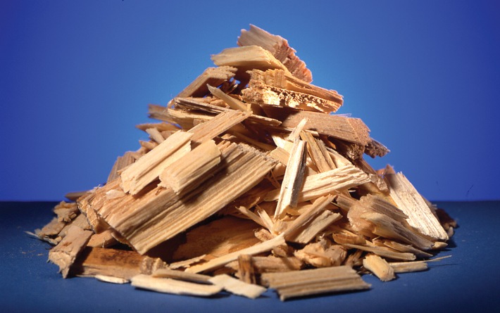Papierindustrie: Stoffliche Nutzung von Holz muss Vorrang haben