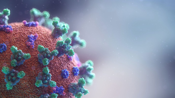 Mikronährstoff-Kombination unterdrückt Zell-"Einfallstor" für Coronavirus