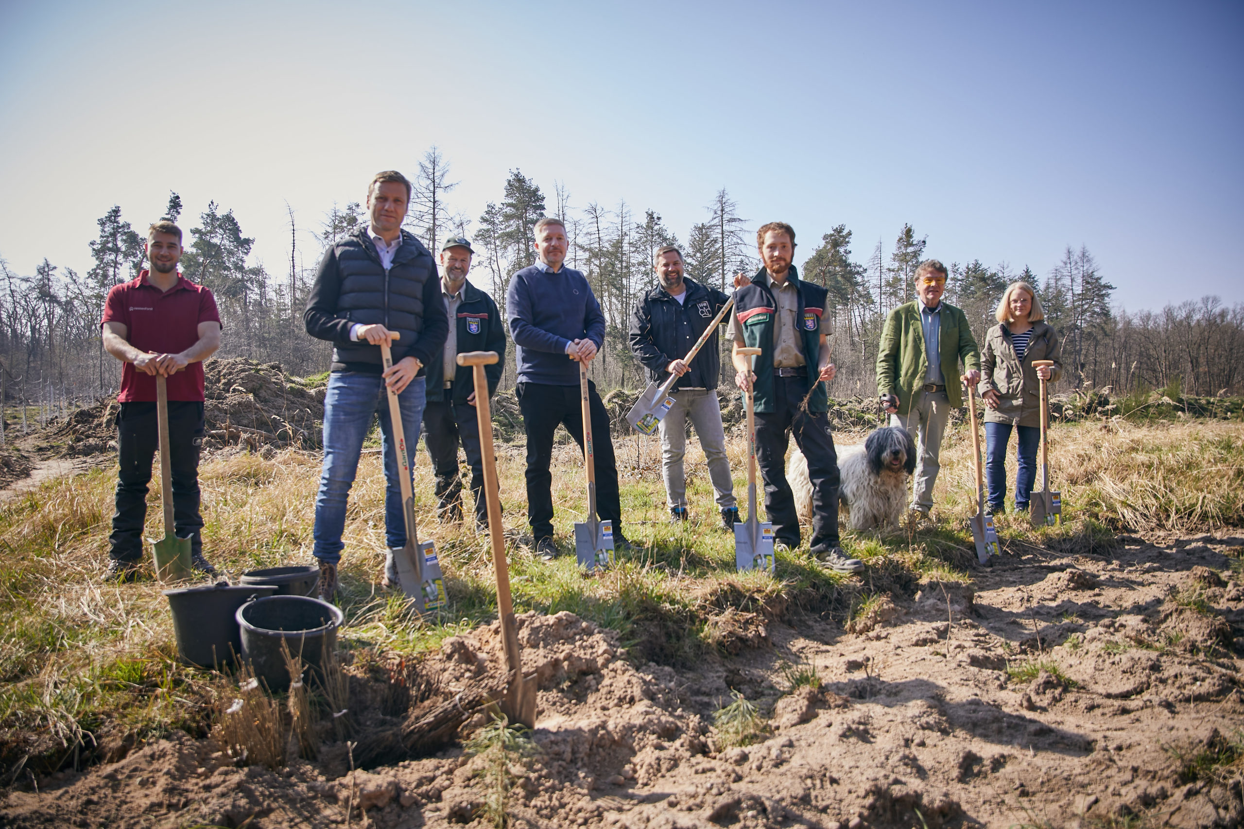 BAUHAUS und DFB engagieren sich für den Klimawald 300 junge Bäume im Rhein-Main-Gebiet gepflanzt