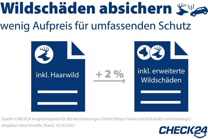 Kfz-Versicherung: Unfälle mit Tieren absichern kostet kaum Aufpreis