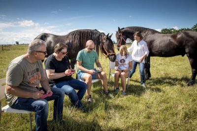 EQzellent® bietet erste blended-learning Ausbildung für pferdegestützte Team- und Führungskräfteentwicklung an