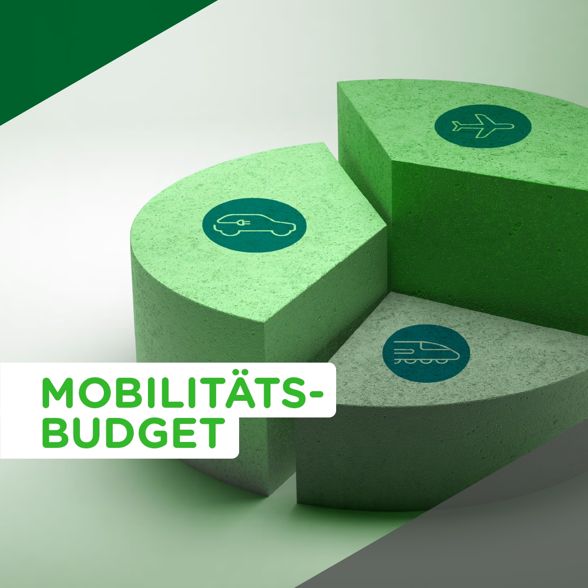 Mobilitätsverband - Gewusst wie: Mobilitätsbudget