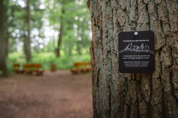 Baum statt Grabstein: Immer mehr Menschen entscheiden sich für die letzte Ruhestelle im FriedWald. / Weiterer Text über ots und www.presseportal.de/nr/55775 / Die Verwendung dieses Bildes für redaktionelle Zwecke ist unter Beachtung aller mitgeteilten Nutzungsbedingungen zulässig und dann auch honorarfrei. Veröffentlichung ausschließlich mit Bildrechte-Hinweis. Baum statt Grabstein: Immer mehr Menschen entscheiden sich für die letzte Ruhestelle im FriedWald. / Weiterer Text über ots und www.presseportal.de/nr/55775 / Die Verwendung dieses Bildes für redaktionelle Zwecke ist unter Beachtung aller mitgeteilten Nutzungsbedingungen zulässig und dann auch honorarfrei. Veröffentlichung ausschließlich mit Bildrechte-Hinweis.